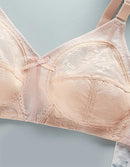 Triumph Doreen Minimizer Bra – Pack of 2